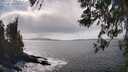 ./images/koeye/fitz-hugh/20260407/fitz-hugh20260407_151502M.jpg