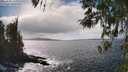 ./images/koeye/fitz-hugh/20260407/fitz-hugh20260407_152001M.jpg