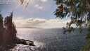./images/koeye/fitz-hugh/20260407/fitz-hugh20260407_154002M.jpg