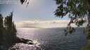 ./images/koeye/fitz-hugh/20260407/fitz-hugh20260407_155001M.jpg