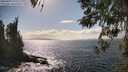 ./images/koeye/fitz-hugh/20260407/fitz-hugh20260407_155502M.jpg