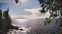 ./images/koeye/fitz-hugh/20260407/fitz-hugh20260407_161001M.jpg