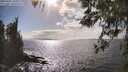 ./images/koeye/fitz-hugh/20260407/fitz-hugh20260407_163001M.jpg