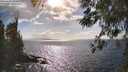 ./images/koeye/fitz-hugh/20260407/fitz-hugh20260407_164501M.jpg