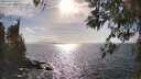 ./images/koeye/fitz-hugh/20260407/fitz-hugh20260407_170001M.jpg