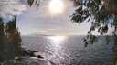./images/koeye/fitz-hugh/20260407/fitz-hugh20260407_170501M.jpg