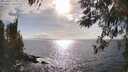 ./images/koeye/fitz-hugh/20260407/fitz-hugh20260407_171001M.jpg