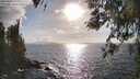 ./images/koeye/fitz-hugh/20260407/fitz-hugh20260407_173001M.jpg