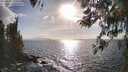 ./images/koeye/fitz-hugh/20260407/fitz-hugh20260407_173501M.jpg