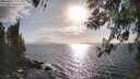 ./images/koeye/fitz-hugh/20260407/fitz-hugh20260407_174501M.jpg