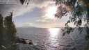 ./images/koeye/fitz-hugh/20260407/fitz-hugh20260407_180502M.jpg