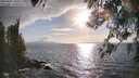 ./images/koeye/fitz-hugh/20260407/fitz-hugh20260407_181001M.jpg