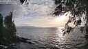 ./images/koeye/fitz-hugh/20260407/fitz-hugh20260407_185001M.jpg