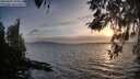 ./images/koeye/fitz-hugh/20260407/fitz-hugh20260407_193502M.jpg