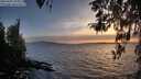 ./images/koeye/fitz-hugh/20260407/fitz-hugh20260407_195001M.jpg