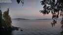 ./images/koeye/fitz-hugh/20260408/fitz-hugh20260408_064502M.jpg