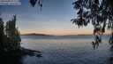 ./images/koeye/fitz-hugh/20260408/fitz-hugh20260408_071501M.jpg