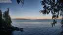./images/koeye/fitz-hugh/20260408/fitz-hugh20260408_073501M.jpg