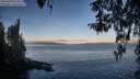 ./images/koeye/fitz-hugh/20260408/fitz-hugh20260408_074001M.jpg