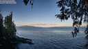 ./images/koeye/fitz-hugh/20260408/fitz-hugh20260408_080001M.jpg