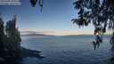 ./images/koeye/fitz-hugh/20260408/fitz-hugh20260408_081001M.jpg
