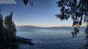 ./images/koeye/fitz-hugh/20260408/fitz-hugh20260408_083501M.jpg