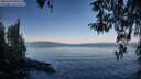 ./images/koeye/fitz-hugh/20260408/fitz-hugh20260408_084001M.jpg