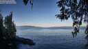 ./images/koeye/fitz-hugh/20260408/fitz-hugh20260408_084501M.jpg