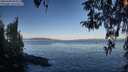 ./images/koeye/fitz-hugh/20260408/fitz-hugh20260408_085001M.jpg