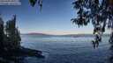./images/koeye/fitz-hugh/20260408/fitz-hugh20260408_085502M.jpg