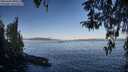 ./images/koeye/fitz-hugh/20260408/fitz-hugh20260408_090501M.jpg