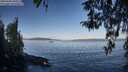 ./images/koeye/fitz-hugh/20260408/fitz-hugh20260408_091001M.jpg