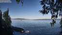 ./images/koeye/fitz-hugh/20260408/fitz-hugh20260408_091501M.jpg