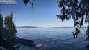 ./images/koeye/fitz-hugh/20260408/fitz-hugh20260408_093501M.jpg