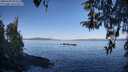 ./images/koeye/fitz-hugh/20260408/fitz-hugh20260408_094501M.jpg