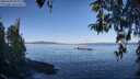 ./images/koeye/fitz-hugh/20260408/fitz-hugh20260408_095001M.jpg