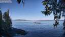 ./images/koeye/fitz-hugh/20260408/fitz-hugh20260408_095501M.jpg