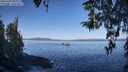 ./images/koeye/fitz-hugh/20260408/fitz-hugh20260408_100001M.jpg