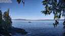 ./images/koeye/fitz-hugh/20260408/fitz-hugh20260408_100501M.jpg