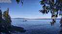 ./images/koeye/fitz-hugh/20260408/fitz-hugh20260408_101001M.jpg
