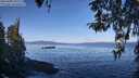 ./images/koeye/fitz-hugh/20260408/fitz-hugh20260408_101501M.jpg