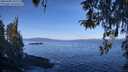 ./images/koeye/fitz-hugh/20260408/fitz-hugh20260408_102001M.jpg