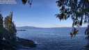 ./images/koeye/fitz-hugh/20260408/fitz-hugh20260408_102502M.jpg