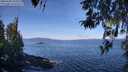 ./images/koeye/fitz-hugh/20260408/fitz-hugh20260408_103501M.jpg