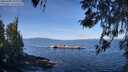 ./images/koeye/fitz-hugh/20260408/fitz-hugh20260408_104002M.jpg
