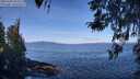 ./images/koeye/fitz-hugh/20260408/fitz-hugh20260408_104501M.jpg
