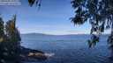 ./images/koeye/fitz-hugh/20260408/fitz-hugh20260408_105001M.jpg