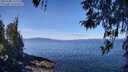 ./images/koeye/fitz-hugh/20260408/fitz-hugh20260408_112501M.jpg
