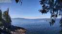 ./images/koeye/fitz-hugh/20260408/fitz-hugh20260408_114001M.jpg