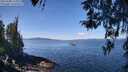 ./images/koeye/fitz-hugh/20260408/fitz-hugh20260408_115002M.jpg